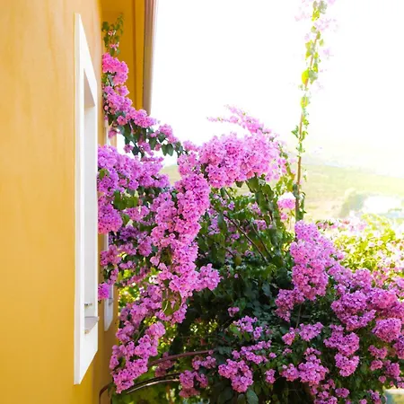 Quinta Dona Matilde Otel