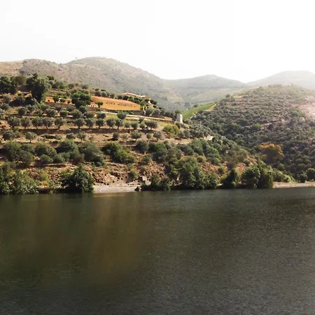 Quinta Dona Matilde * 比索达雷加