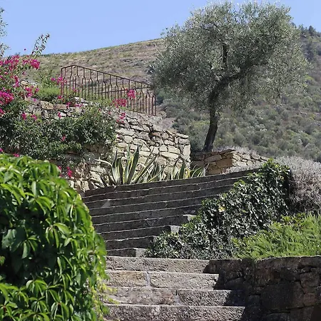 Quinta Dona Matilde *