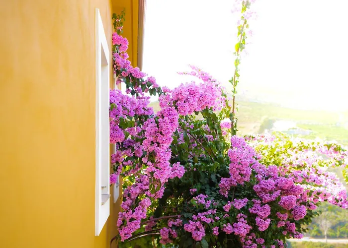 Quinta Dona Matilde Otel