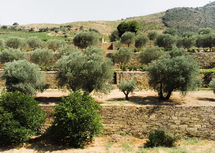 Quinta Dona Matilde *